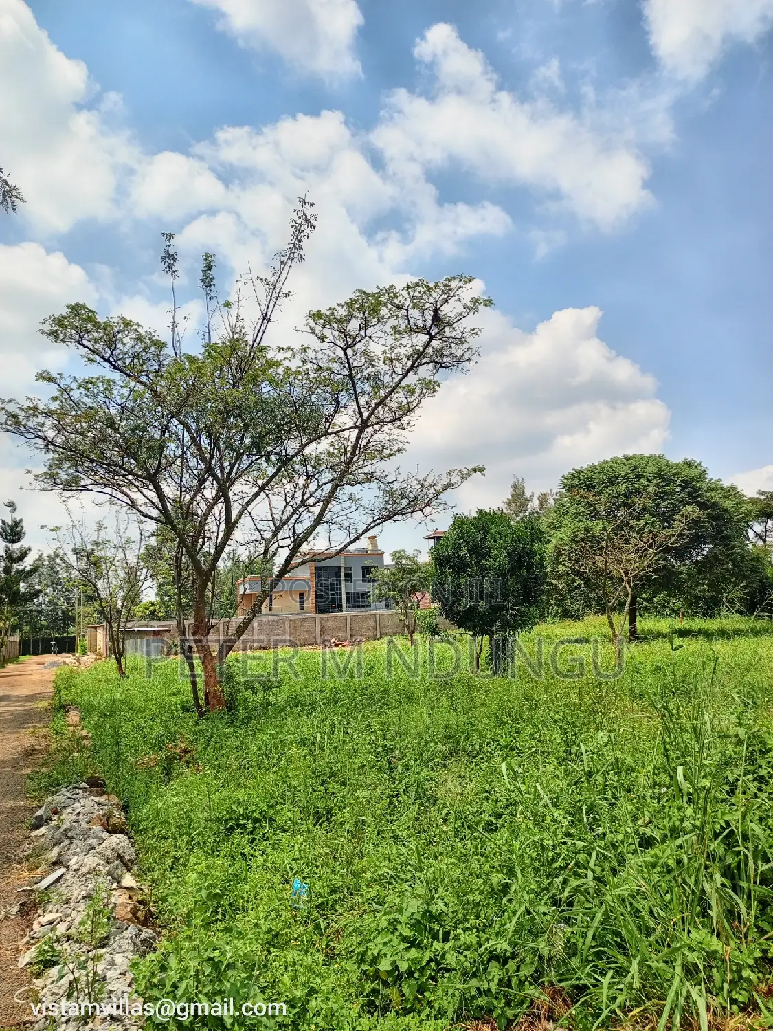 Golden Palm Gardens Prime Residential Quarter Plot