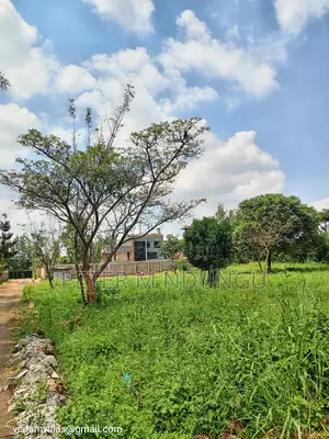 Golden Palm Gardens Prime Residential Quarter Plot