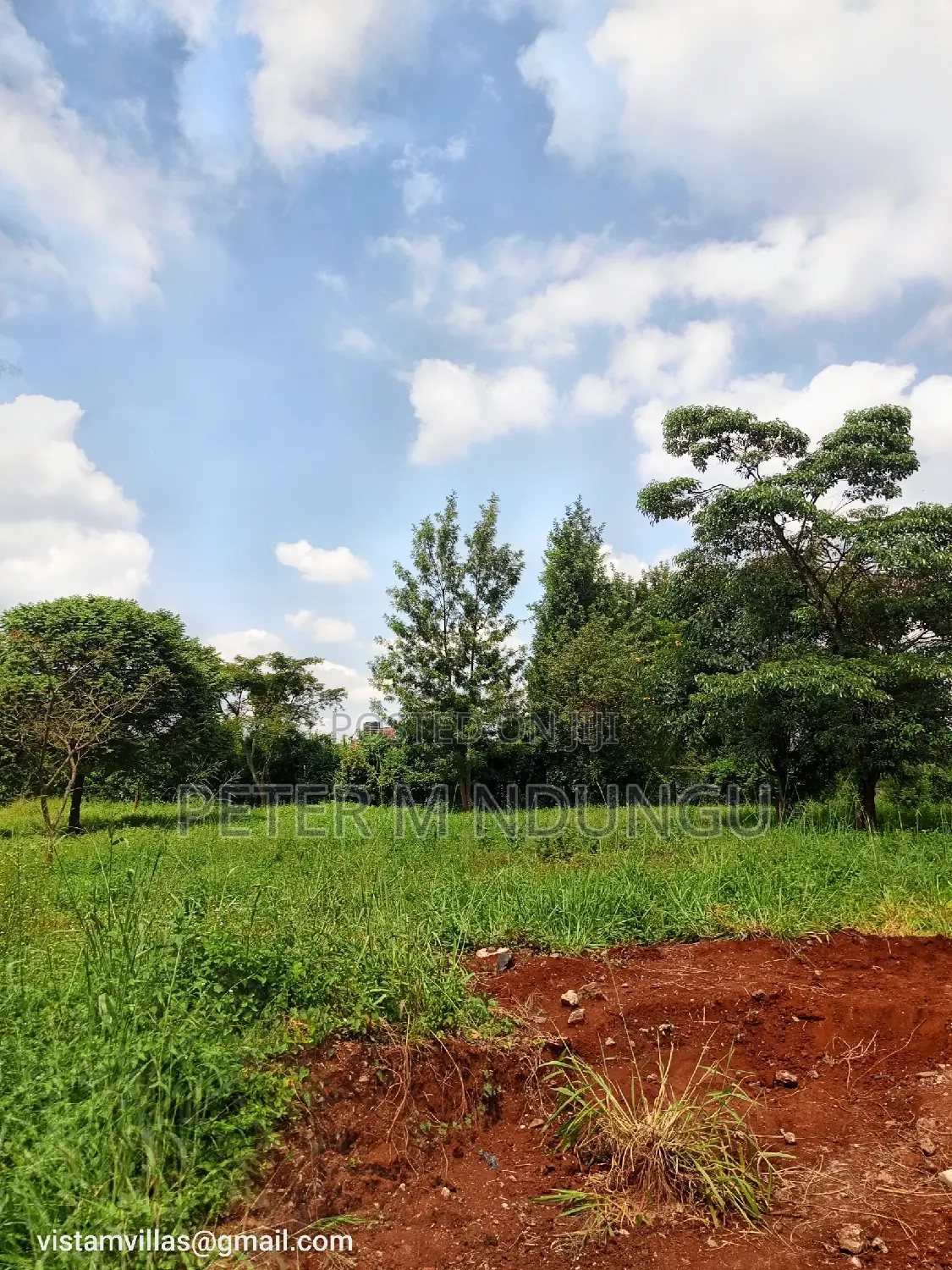 Golden Palm Gardens Prime Residential Quarter Plot