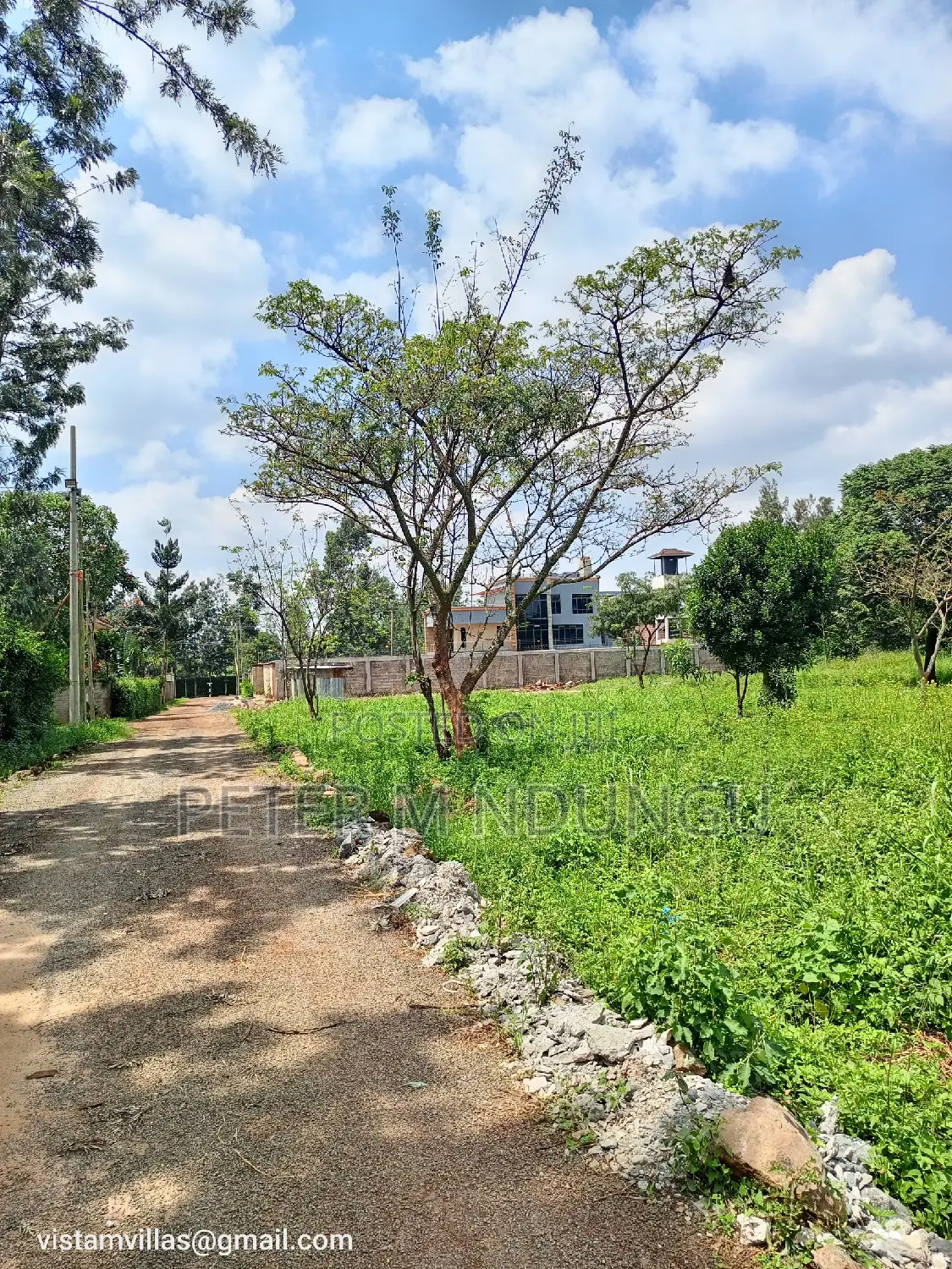 Golden Palm Gardens Prime Residential Quarter Plot