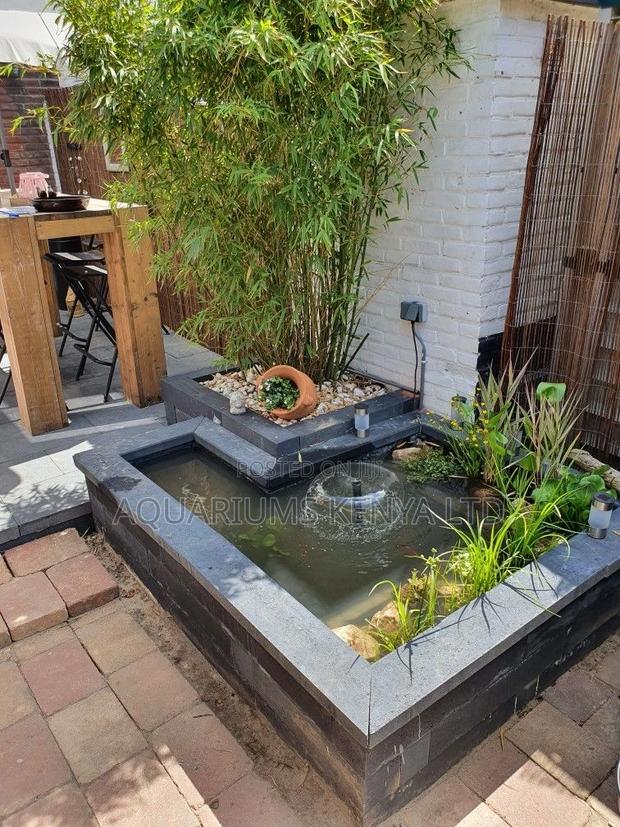 Backyard Pond - main view