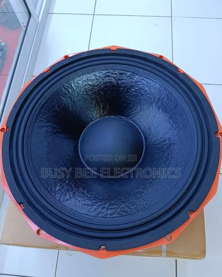 Derwel Pd 1852 18" Speaker