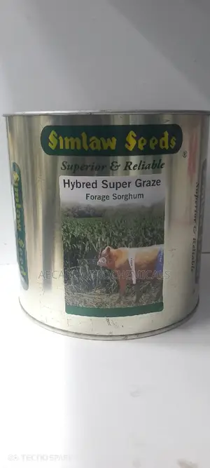 Hybrid Super Graze Sudan Grass 1kg