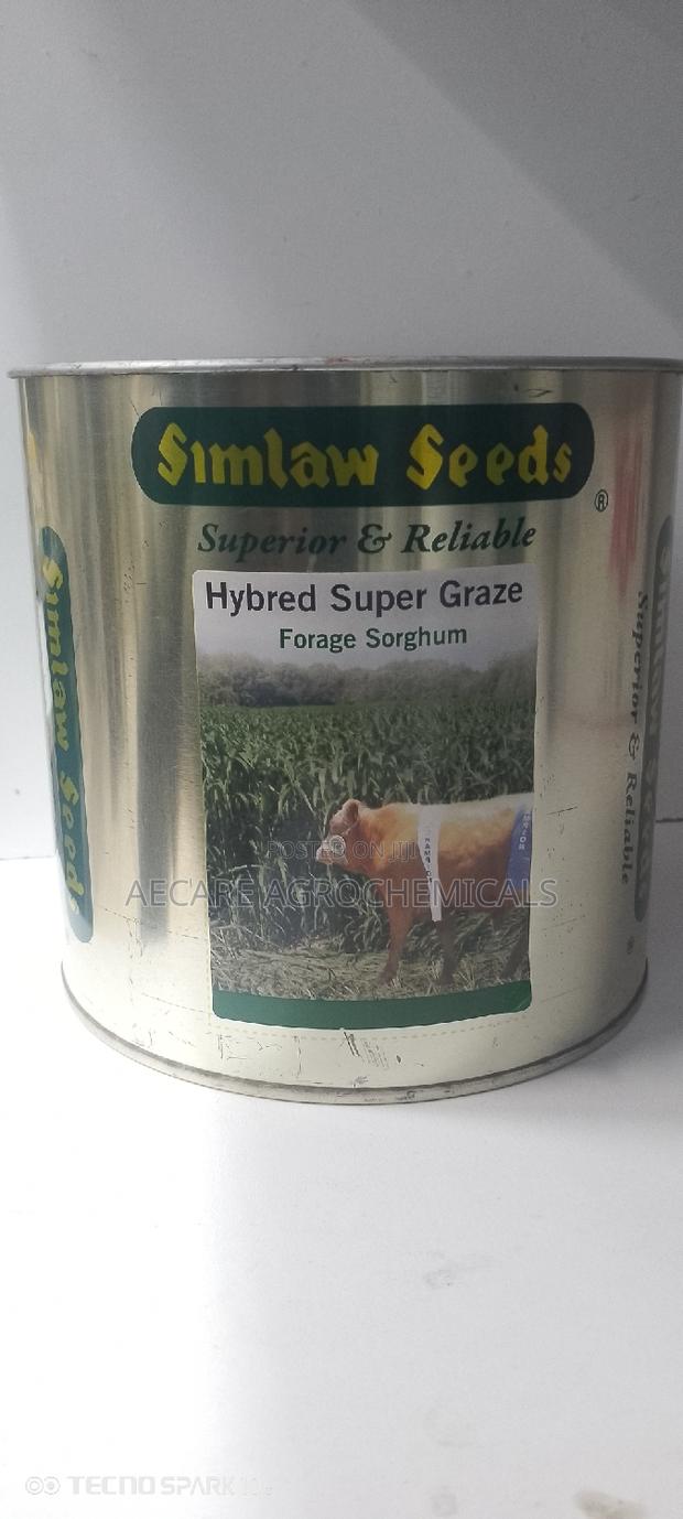 Hybrid Super Graze Sudan Grass 1kg - main view