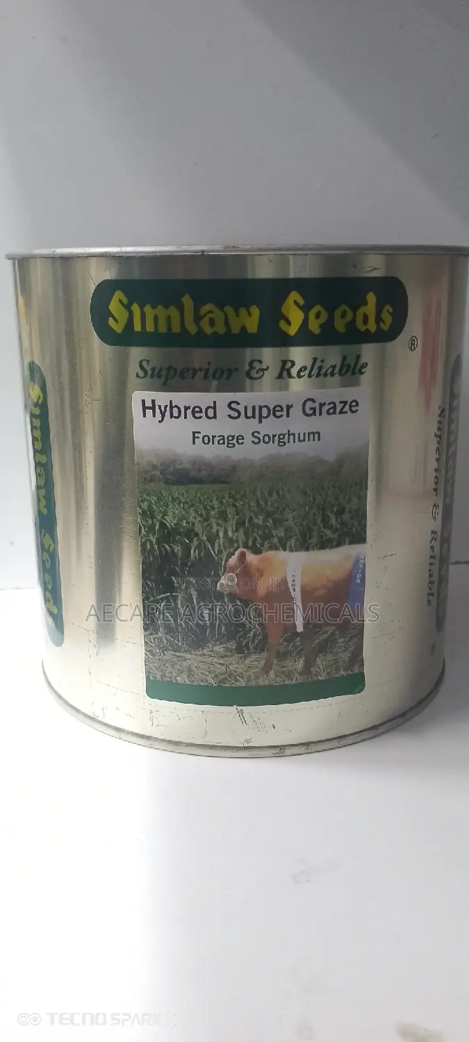 Hybrid Super Graze Sudan Grass 1kg