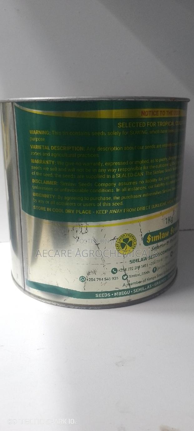 Hybrid Super Graze Sudan Grass 1kg - thumbnail 3