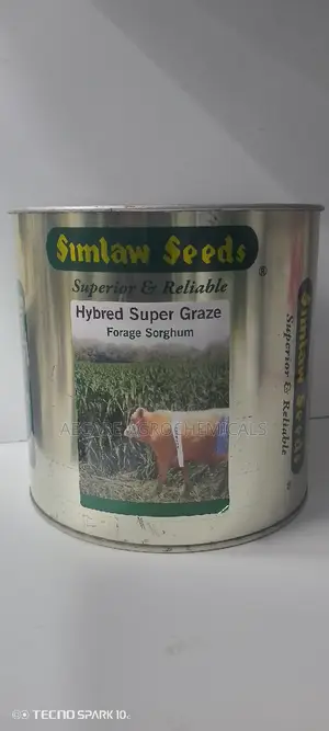 Hybrid Super Graze Sudan Grass 1kg
