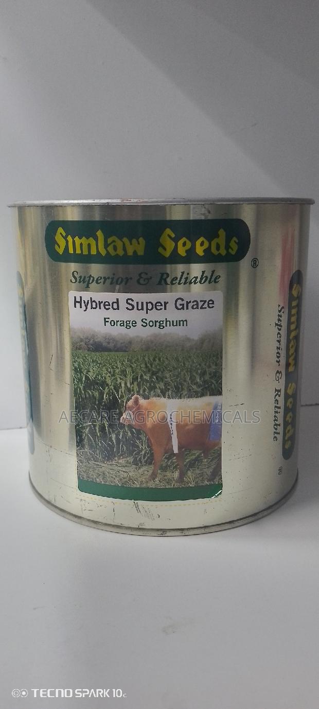 Hybrid Super Graze Sudan Grass 1kg - thumbnail 4