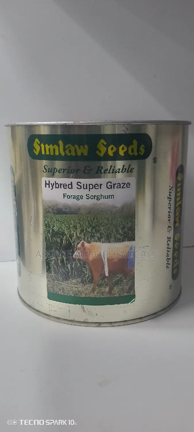Hybrid Super Graze Sudan Grass 1kg