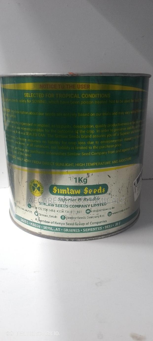 Hybrid Super Graze Sudan Grass 1kg - thumbnail 5