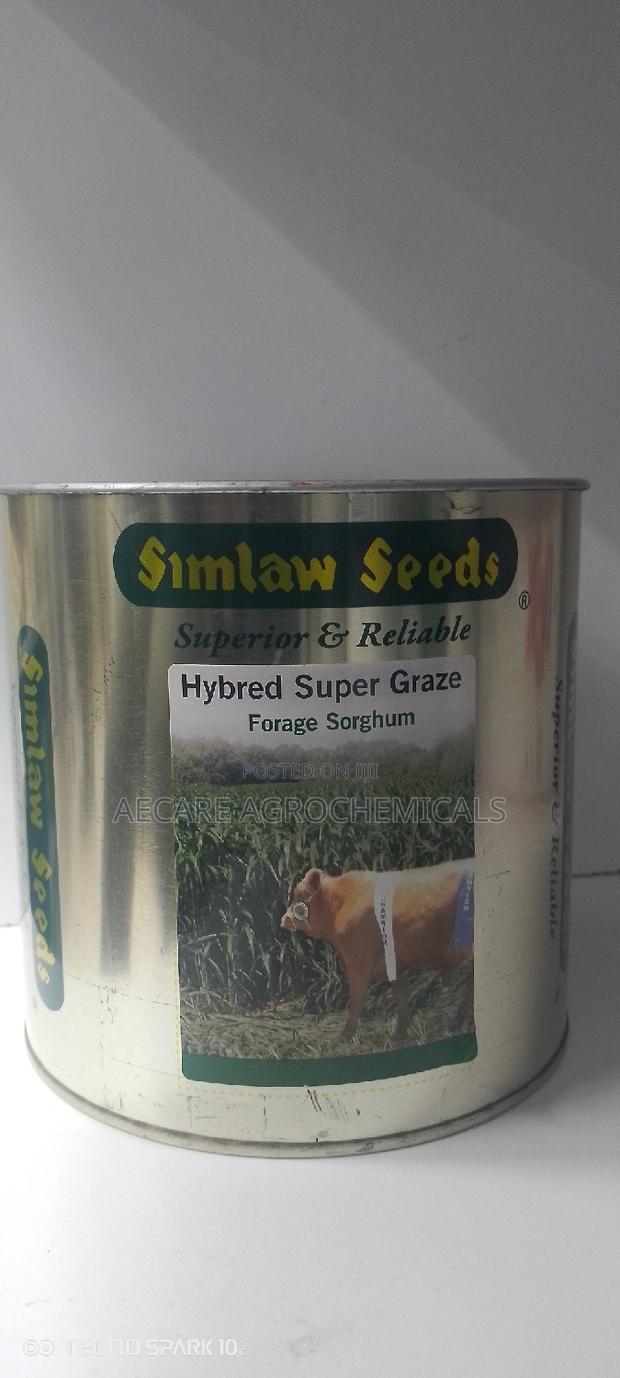 Hybrid Super Graze Sudan Grass 1kg - thumbnail 6
