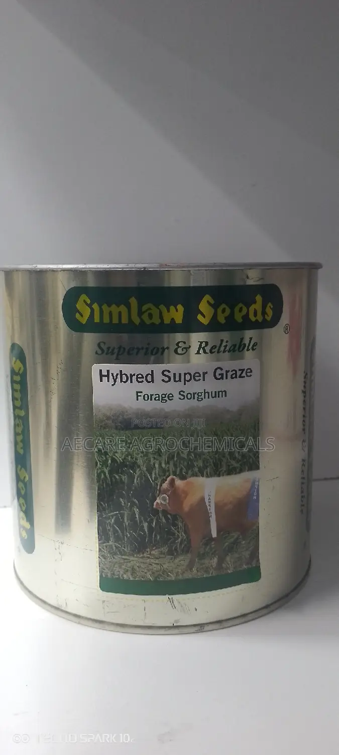 Hybrid Super Graze Sudan Grass 1kg