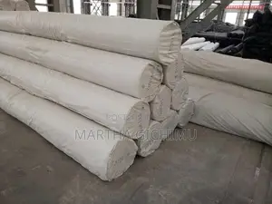 Geo Textile Cloth/Geo Membrane