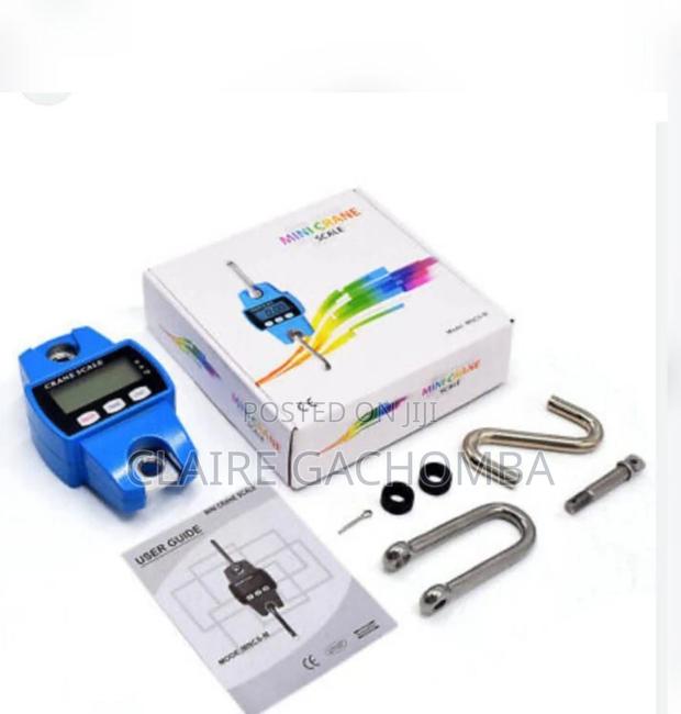 300 Kg Clane Scale/Mini Crane Scale - main view