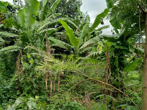 Residential Eighth Acre Plot in Ngong Matasia, Memusi - thumbnail 2