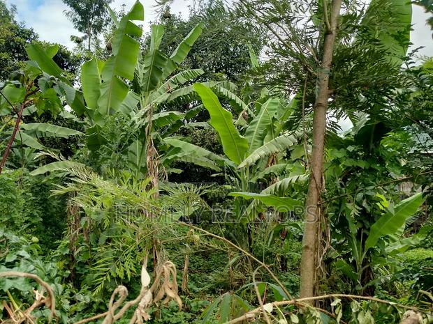 Residential Eighth Acre Plot in Ngong Matasia, Memusi - thumbnail 3