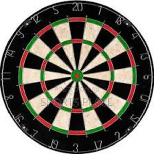 Official Nodor Professional Tournament Dartboard