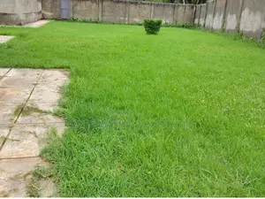 6 Bedrooms Mansion for Commercial Use in Tigoni