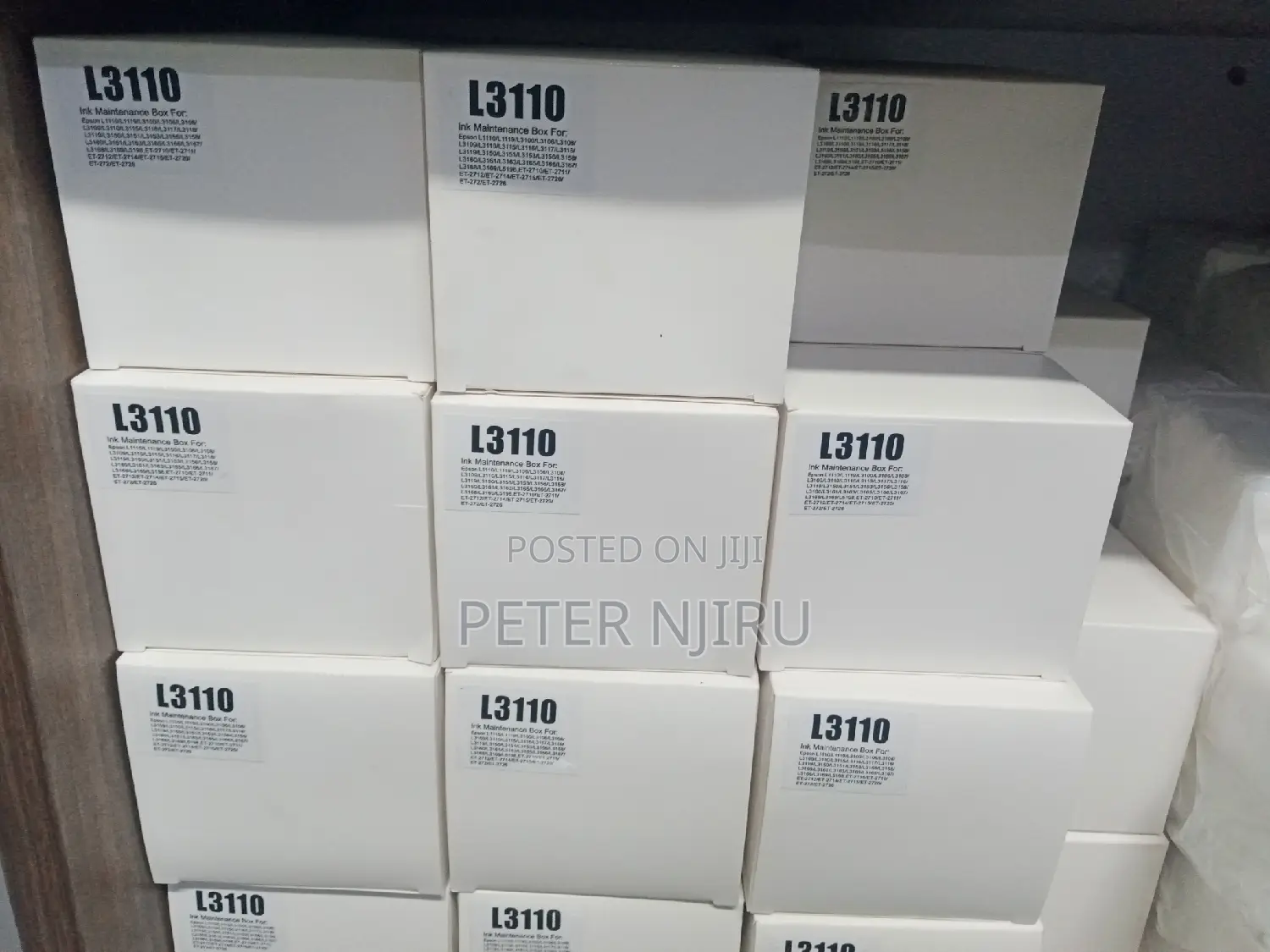 Epson L3210 Waste Inkpad