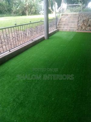 Turf Grass Turf Grass Turf Grass Turf Grass Turf Grass - thumbnail 2