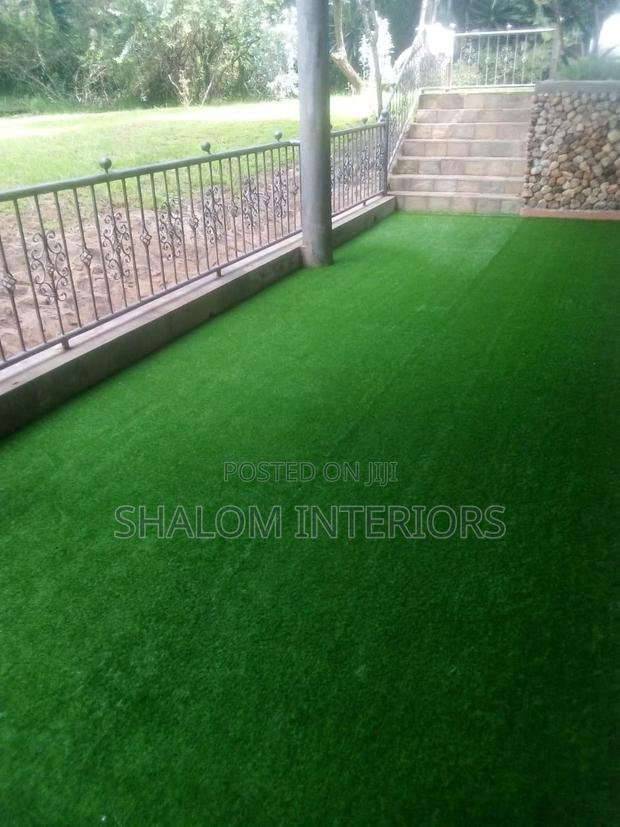 Turf Grass Turf Grass Turf Grass Turf Grass Turf Grass - main view