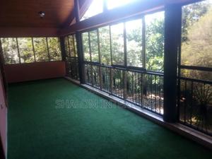 Turf Grass Turf Grass Turf Grass Turf Grass Turf Grass - thumbnail 2