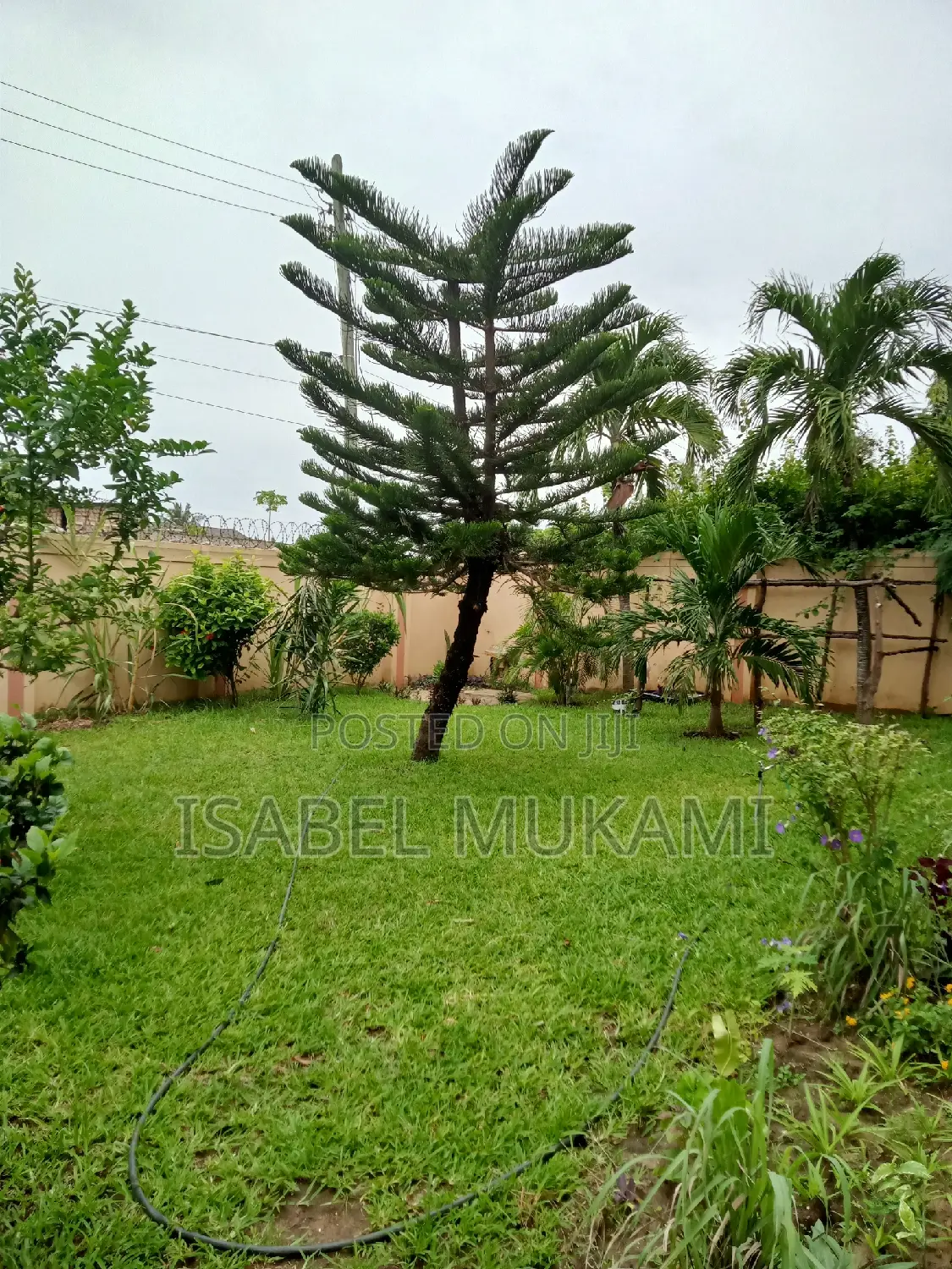 1 Bedroom Bungalow in Shanzu. Cozy, Quiet and Secure.