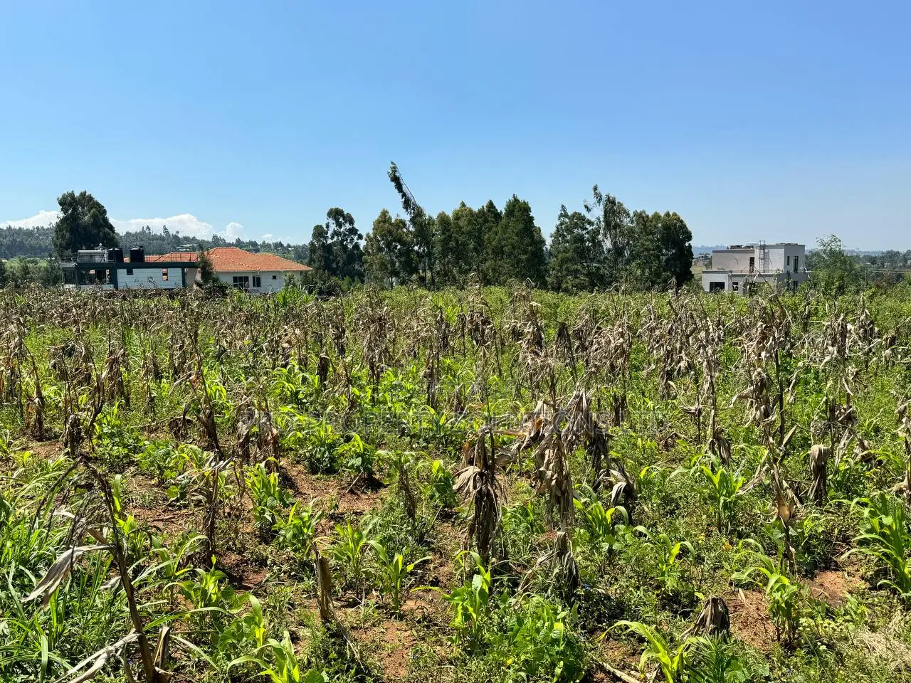 Prime Residential Plot for Sale in Kikuyu,Kamangu