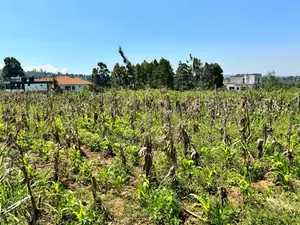 Prime Residential Plot for Sale in Kikuyu,Kamangu