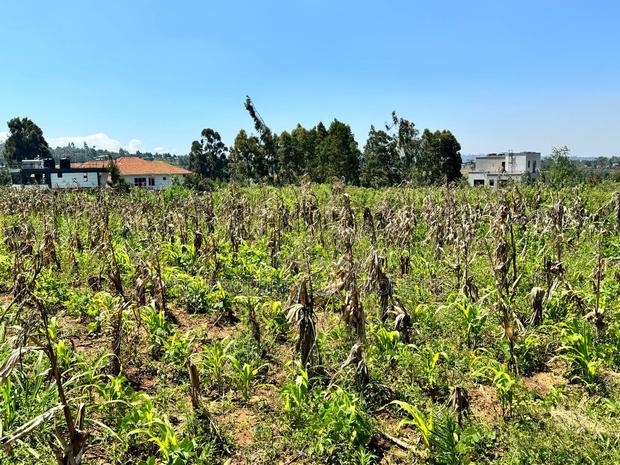 Prime Residential Plot for Sale in Kikuyu,Kamangu - thumbnail 4