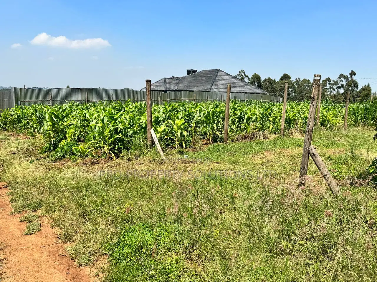 Prime Residential Plot for Sale in Kikuyu,Kamangu