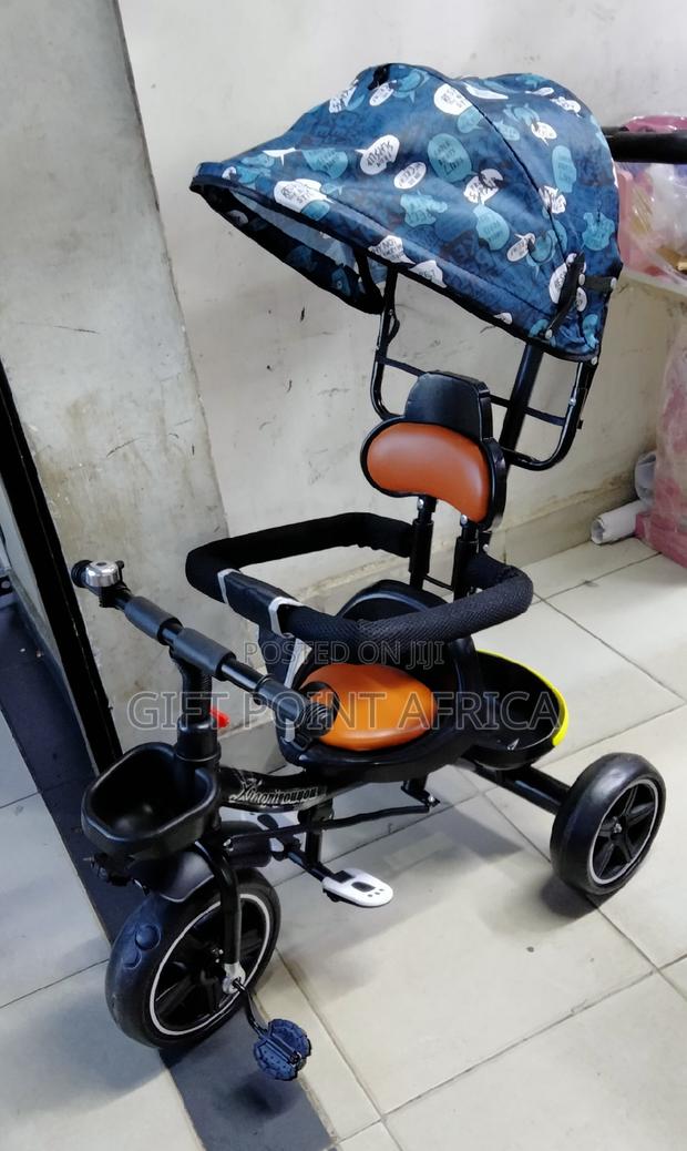Push Handle Tricycle for Kids With a Shade