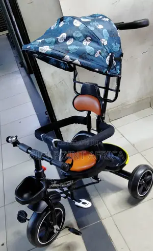 Push Handle Tricycle for Kids With a Shade