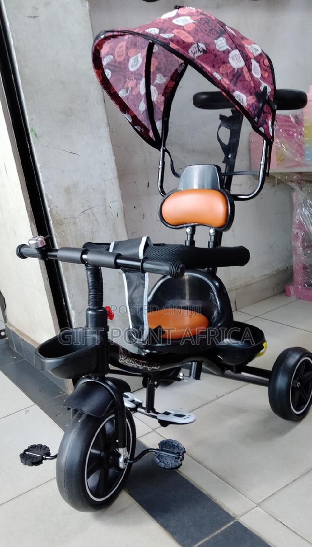 Push Handle Tricycle for Toddlers With a Shade - thumbnail 3