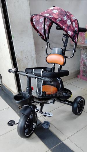 Push Handle Tricycle for Toddlers With a Shade - thumbnail 2