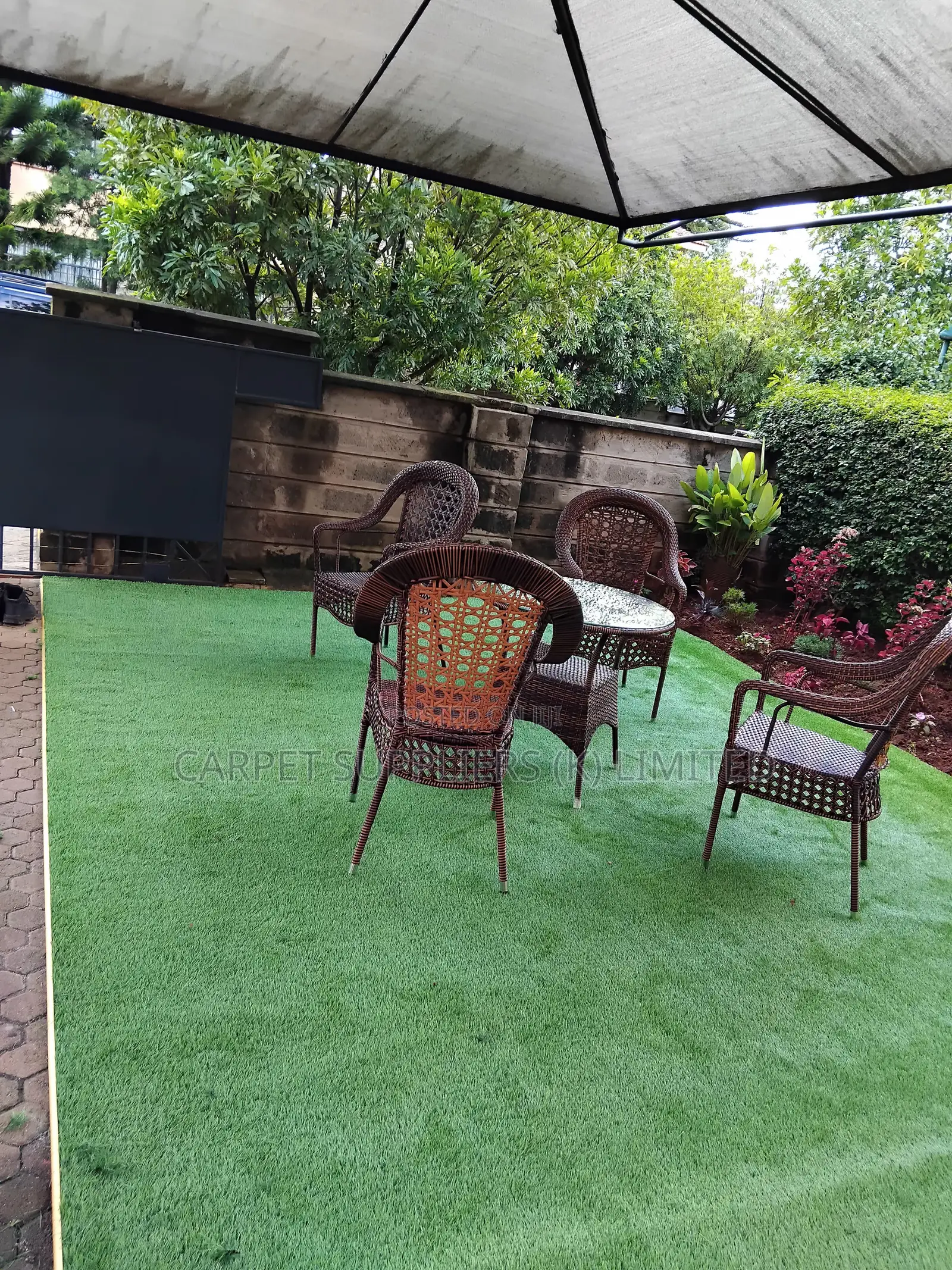 Grass Carpet