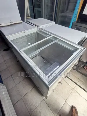 Display Freezer