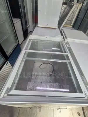 Display Freezer