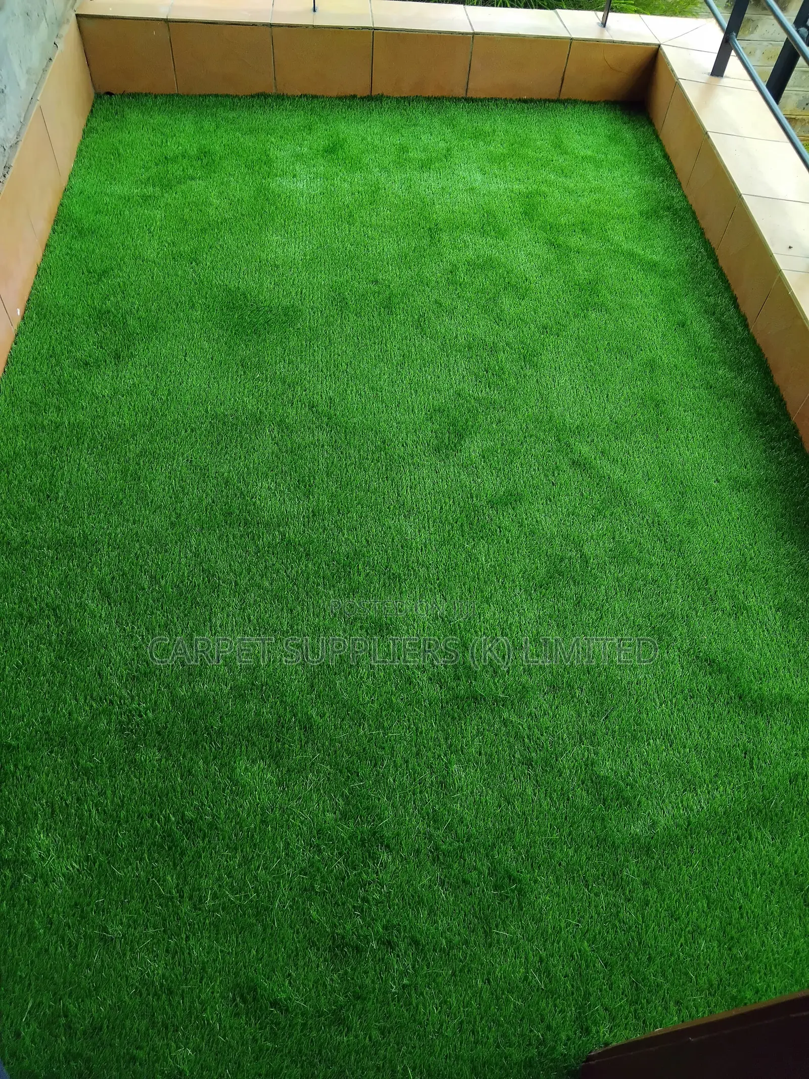 Grass Carpet