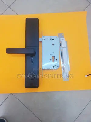 Passcode Access Control Biometric Wifi Door Lock Solutions