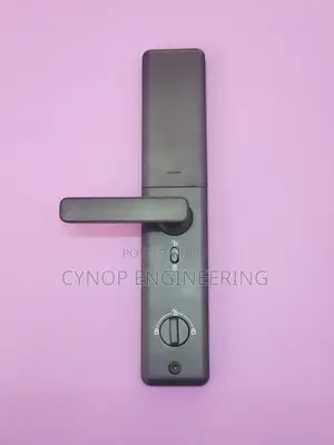 Next-Level Wooden Door Security Smart Biometric Lock