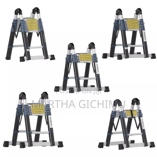 Double Telescopic Ladder Available - main view