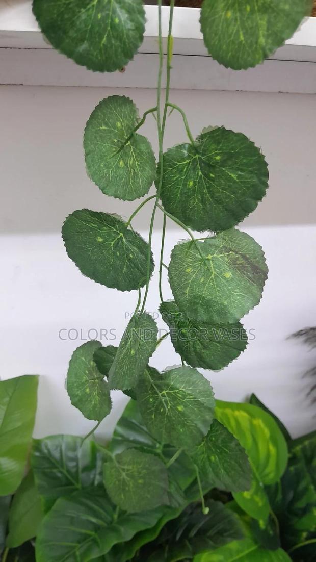 Wall Decor Climbers 2m Long - main view