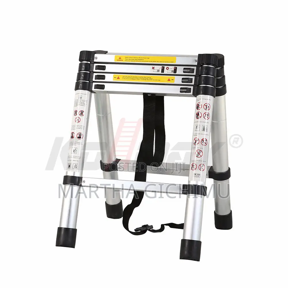 Double Telescopic 2.5+2.5(5.0m) Ladder