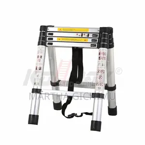 Double Telescopic 2.5+2.5(5.0m) Ladder