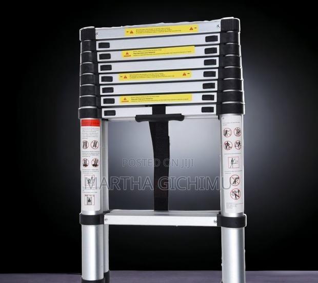 Single Telescopic 2.0m Ladder - main view