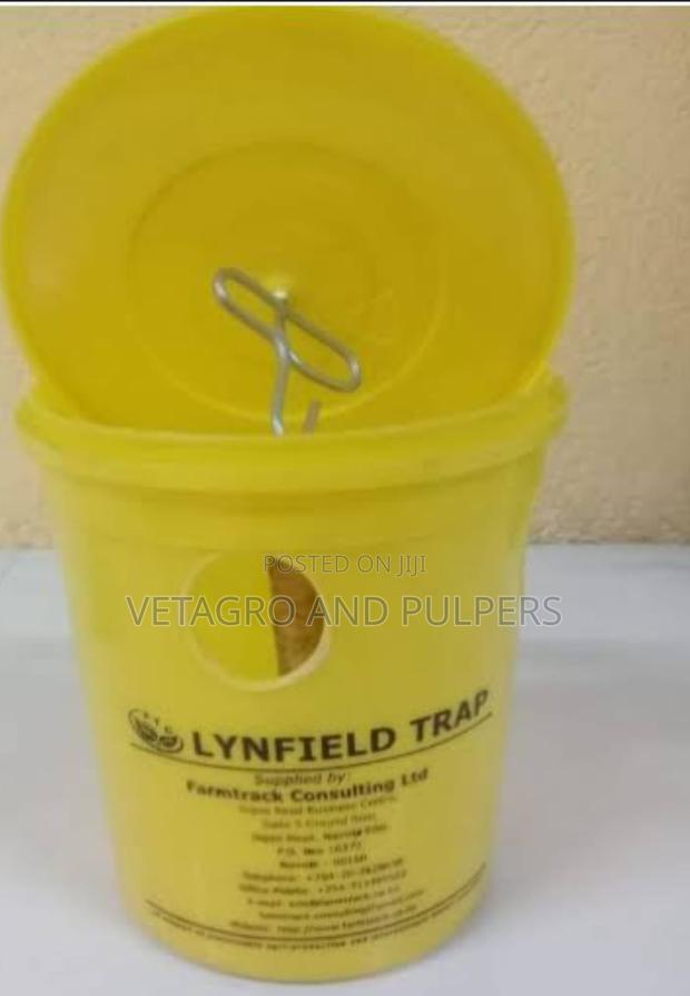 Curelure Plug With Lynfield Trap - thumbnail 3