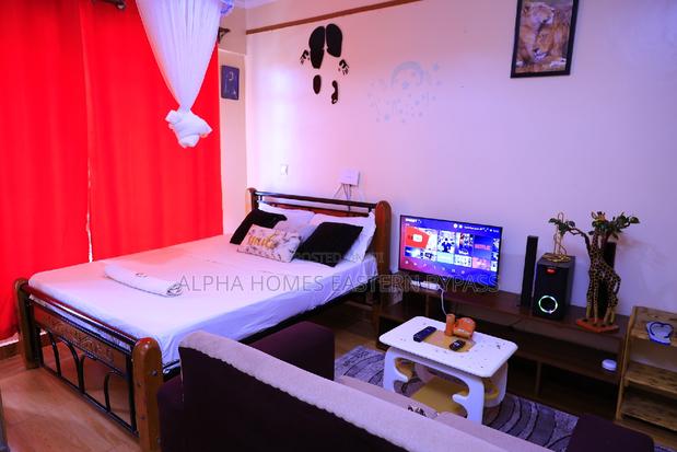 Tastefully Furnished Studio With Amazing Views - thumbnail 3