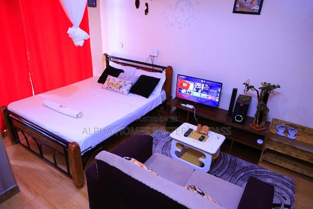 Tastefully Furnished Studio With Amazing Views - thumbnail 4