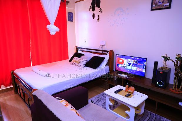 Tastefully Furnished Studio With Amazing Views - thumbnail 5